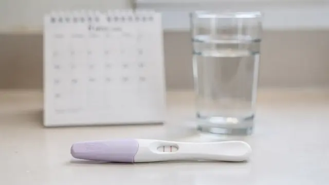 Schwangerschaftstest auf Badablage neben Kalender, passend zum Thema falsch positive Schwangerschaftstests